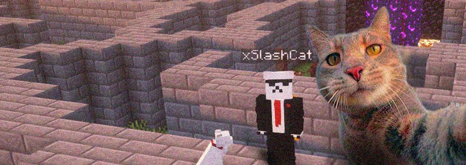 Discovery splash banner for SlashCat Community 😻 Discord server