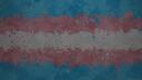 Discovery splash banner for Transgender Discord server