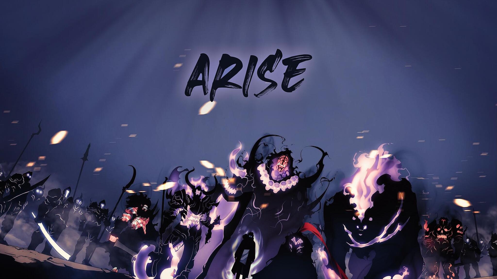 Discovery splash banner for Solo Leveling ARISE FR Discord server