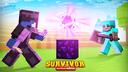 Discovery splash banner for SurvivorSMP Network Discord server