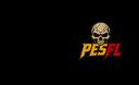 Discovery splash banner for PES 21 Patchs (PC) Discord server