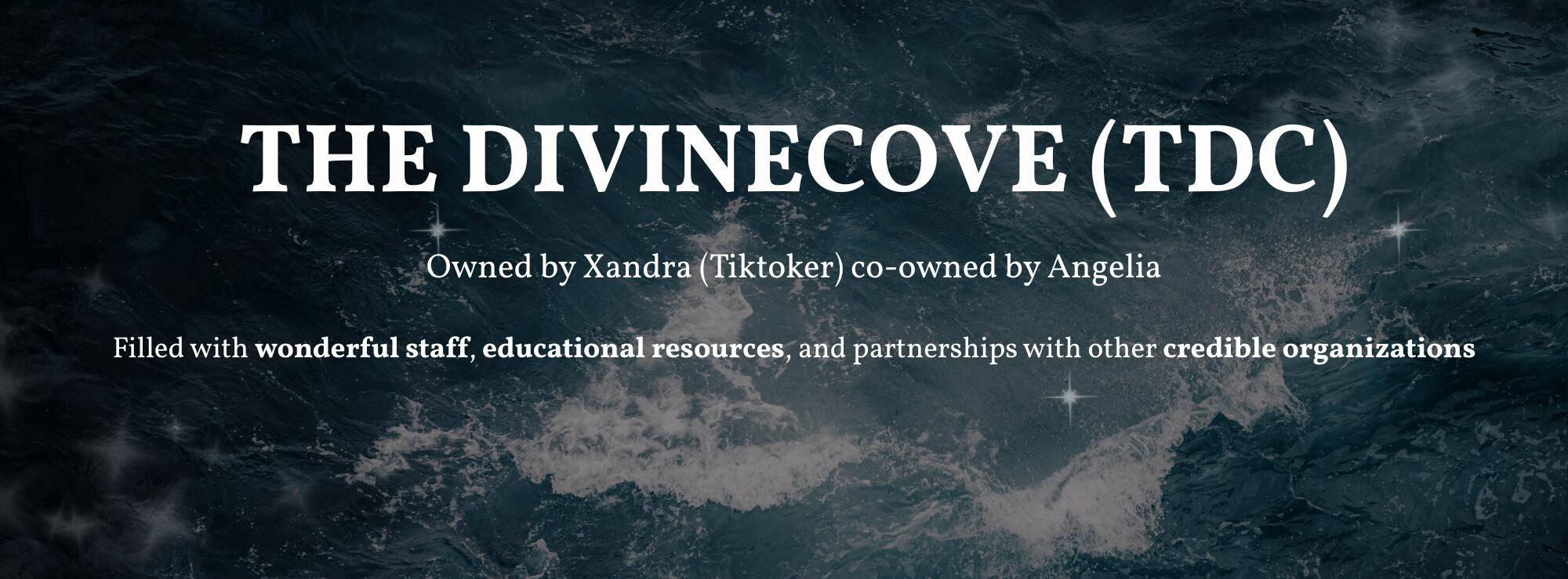 Discovery splash banner for The Divine Cove Discord server