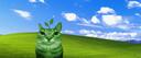 Discovery splash banner for plant's stuff Discord server