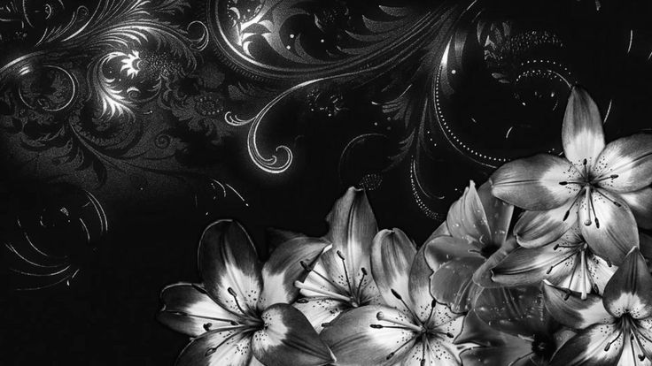 Discovery splash banner for 𝜗𝜚 ࣪˖ ℓ𝓲ℓ𝓲th𝘇 𐰁 ༢ Discord server