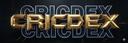 Discovery splash banner for Cricdex Discord server