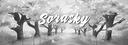 Discovery splash banner for /𝙨𝙤𝙧𝙖𝙨𝙠𝙮 Discord server