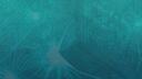 Discovery splash banner for ManaCube Discord server