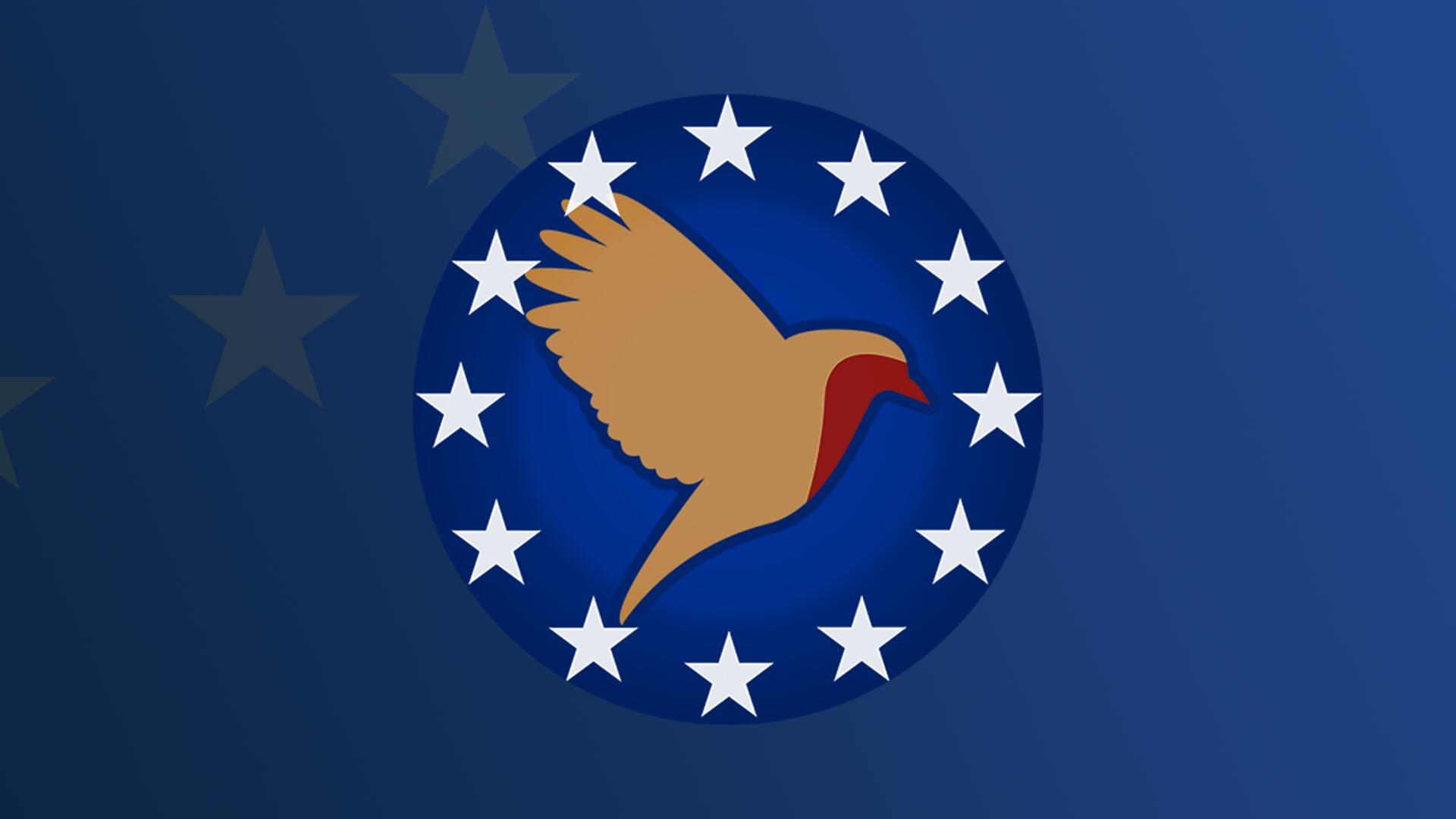 Discovery splash banner for Forum Gotterfunken Discord server