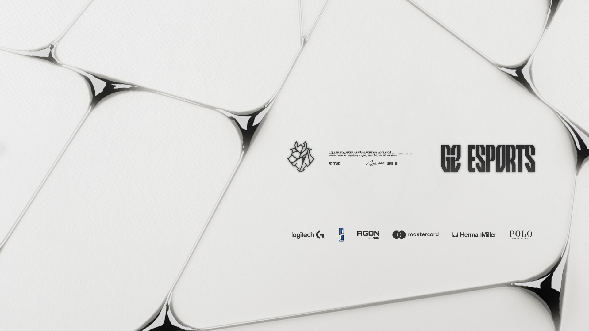 Discovery splash banner for G2 Esports Discord server