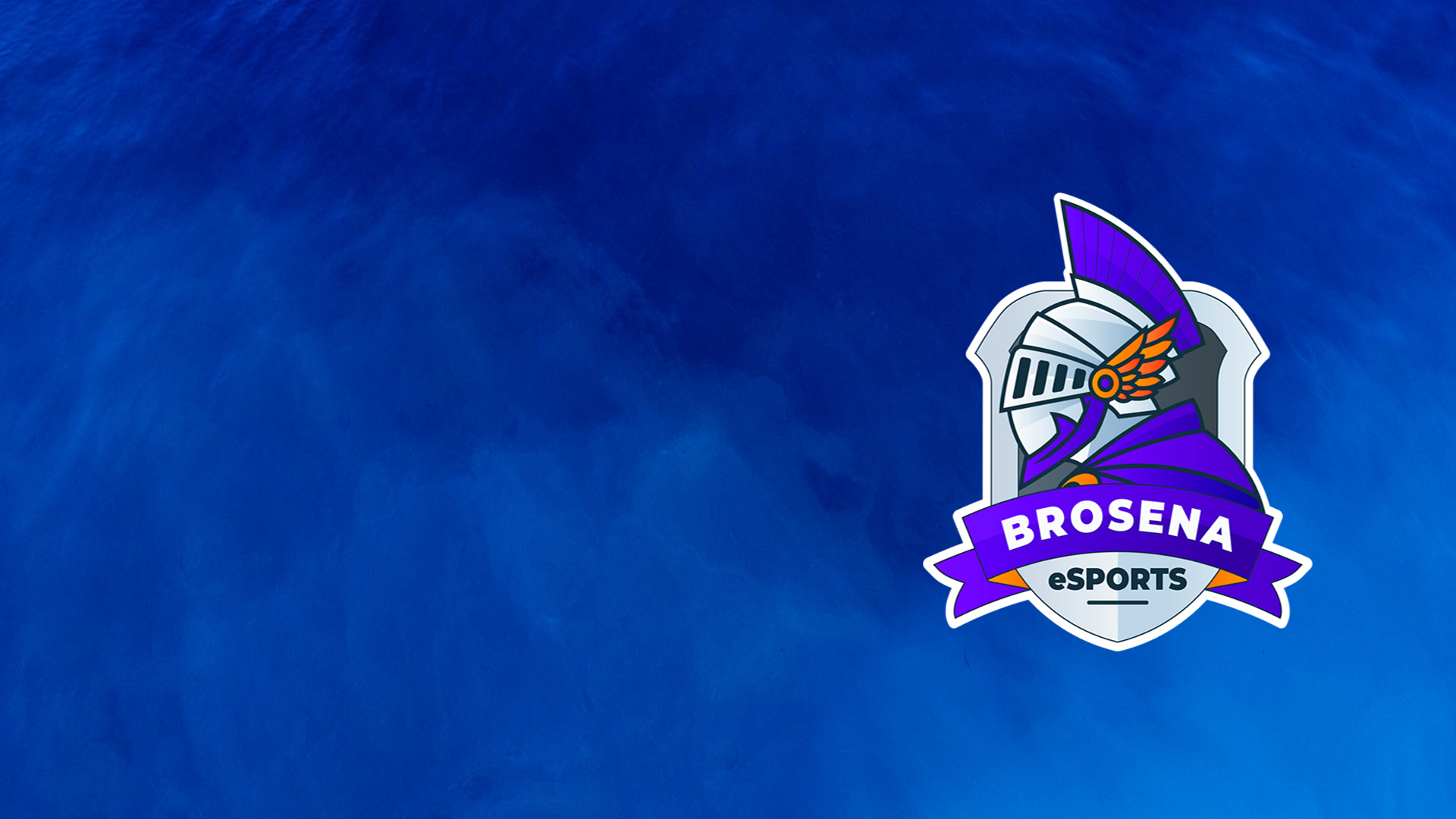 Discovery splash banner for BroSena eSports Discord server