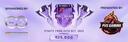 Discovery splash banner for PVS GAMING Discord server