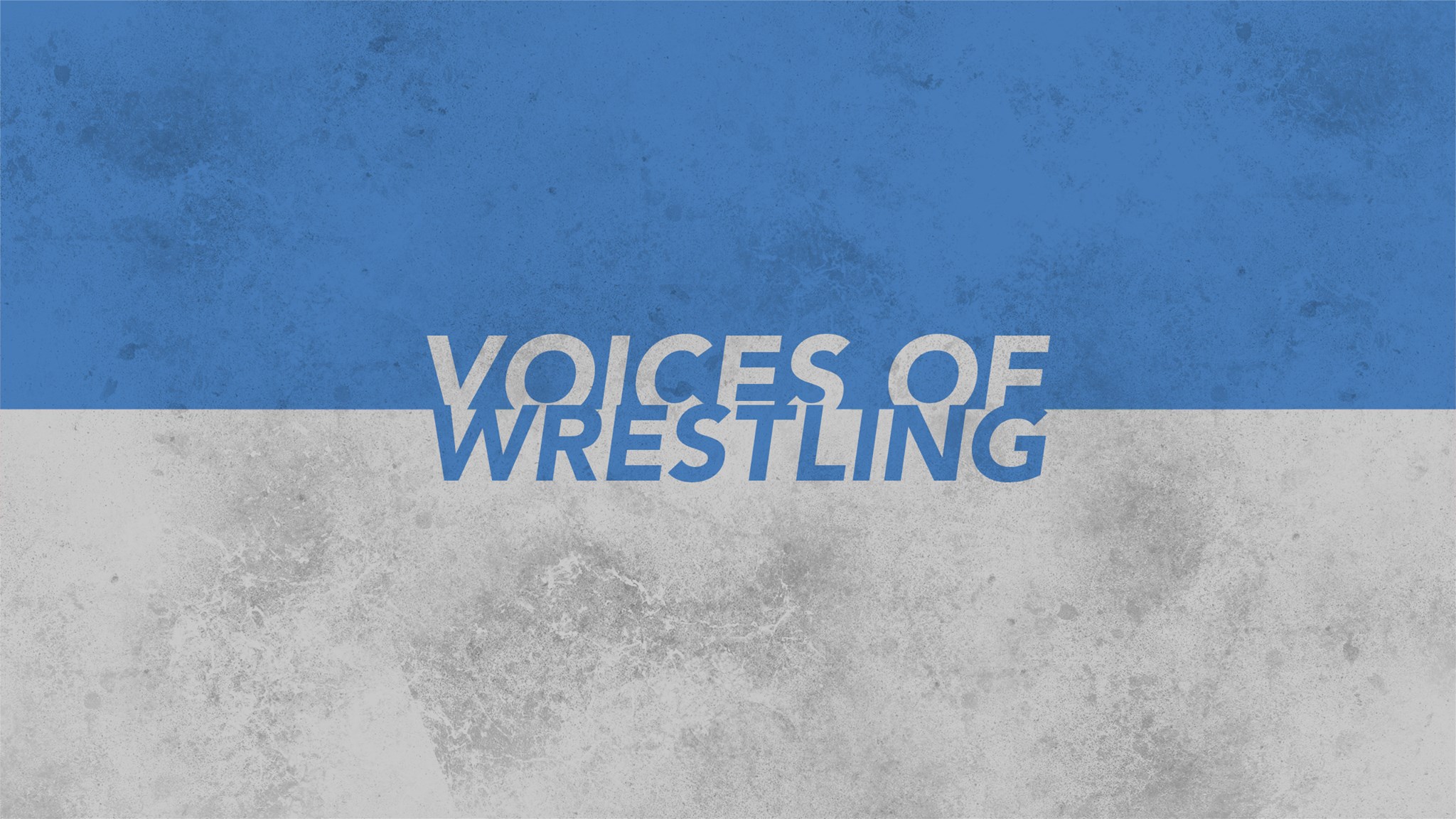 Discovery splash banner for Voices of Wrestling Discord server