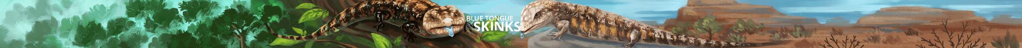 Discovery splash banner for Blue Tongue Skinks Discord server