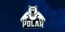 Discovery splash banner for Polar Rust Discord server