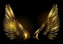 Discovery splash banner for !Wings CS:GO Trading Discord server
