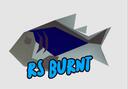 Discovery splash banner for RS Burnt Discord server