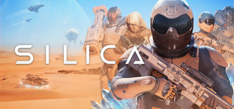 Discovery splash banner for Silica Discord server