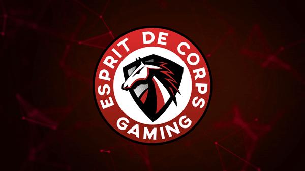 Discovery splash banner for Esprit De Corps Gaming Discord server