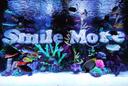 Discovery splash banner for Roman Atwood's Discord Discord server