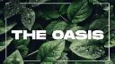 Discovery splash banner for The Oasis Discord server