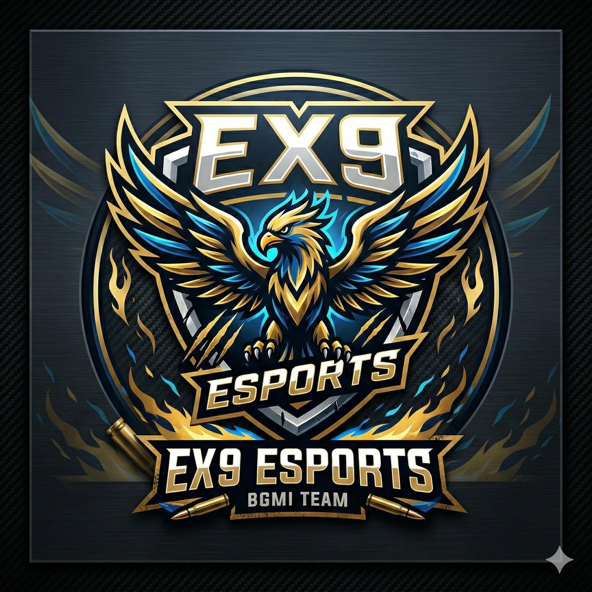 Discovery splash banner for EX9 eSports Discord server