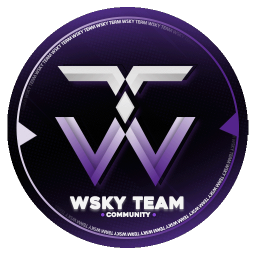 Discovery icon for ✯ 𝐖𝐒𝐊𝐘 𝐓𝐄𝐀𝐌 ✧ Discord server