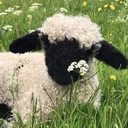 Discovery icon for “ 🌾 𐄹 Cotton Cloud Corner 𐄹 🐑 ” Discord server