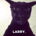 Discovery icon for that server where we might occasionally talk about cats Discord server