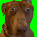 Discovery icon for 𝐆𝐚𝐥𝐚𝐱𝐲 Discord server