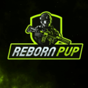 Discovery icon for RebornPVP Discord server