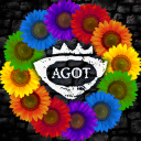 Discovery icon for CK AGOT Discord server
