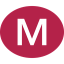 Discovery icon for Minecraft Transit Railway Discord server